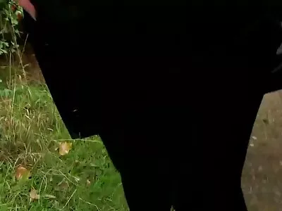 Pussycraft ভিডিও (মিক সেক্সি ভিডিও বিএফ ব্লু, লেদা বিয়ার)