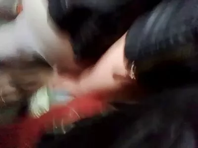প্রতিবেশী ভিডিওতে স্বাগতম (ম্যাডিসন বিএফ সেক্সি রিস)